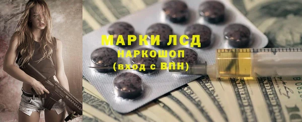 прущие грибы Абинск
